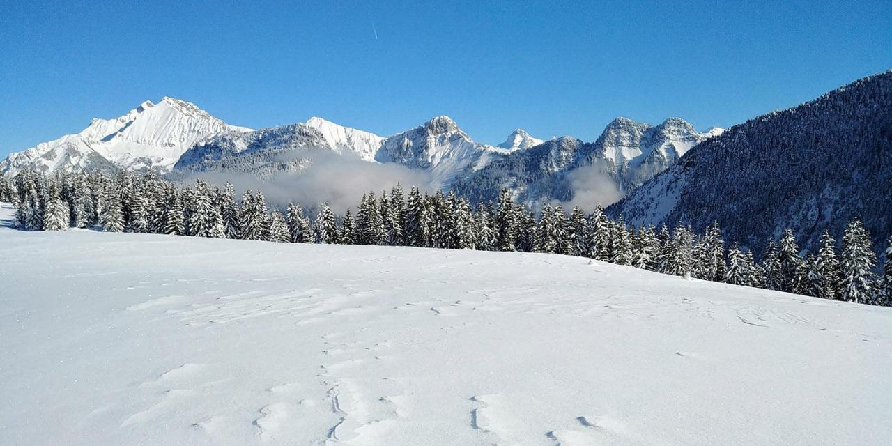 Gite Les Lanfiannes Thorens-Glieres Exterior photo