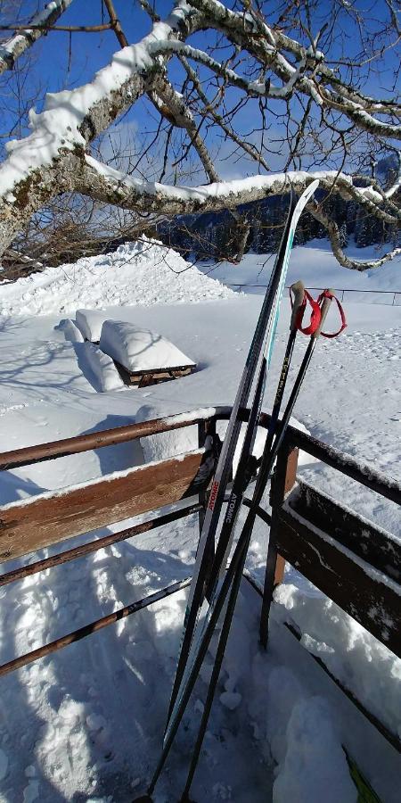 Gite Les Lanfiannes Thorens-Glieres Exterior photo
