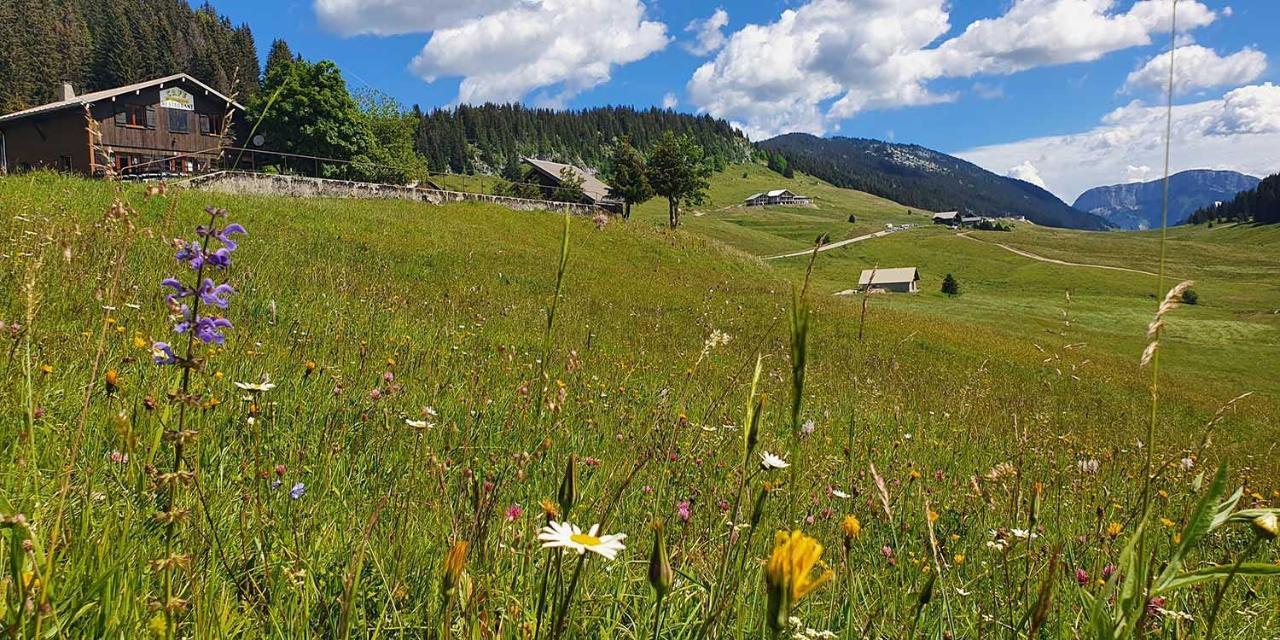 Gite Les Lanfiannes Thorens-Glieres Exterior photo