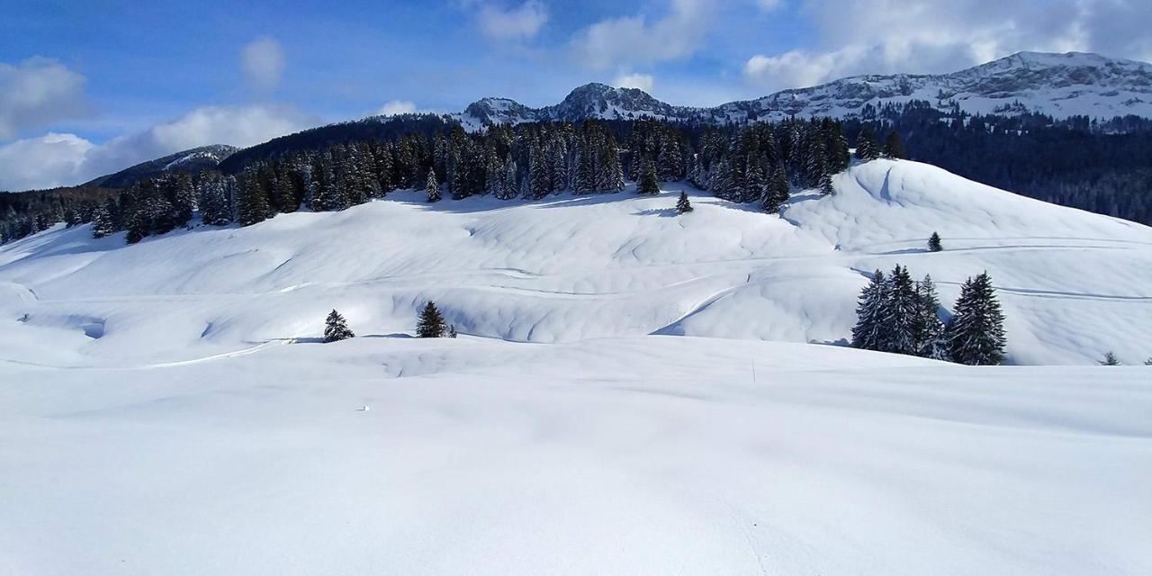 Gite Les Lanfiannes Thorens-Glieres Exterior photo