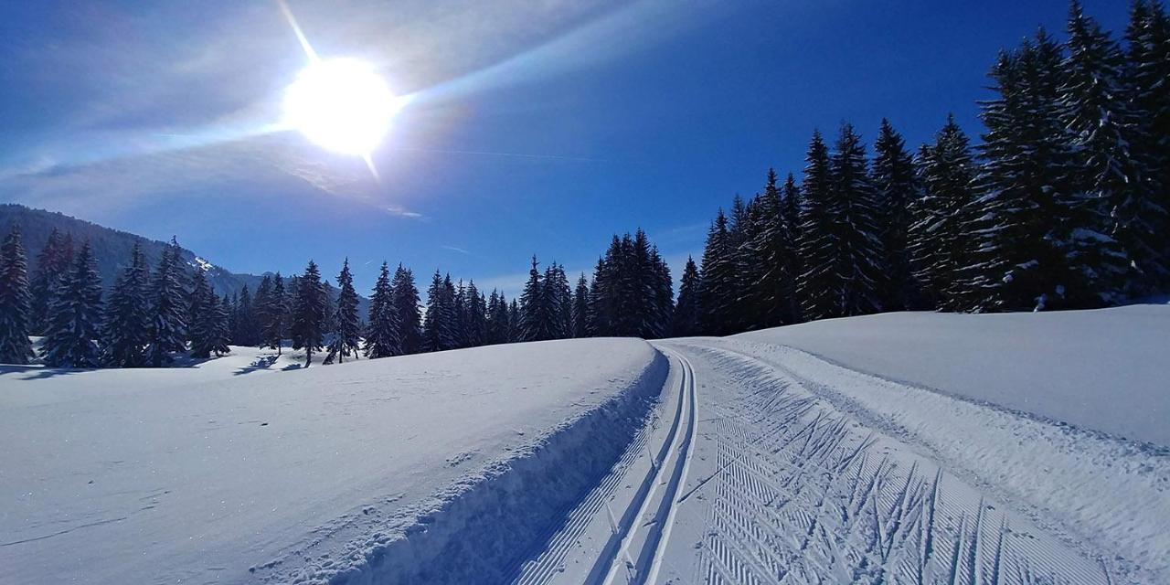Gite Les Lanfiannes Thorens-Glieres Exterior photo